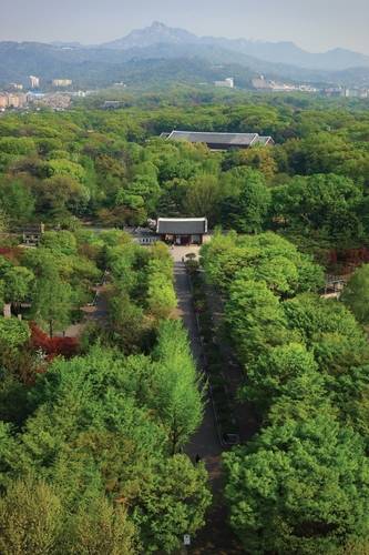 유네스코 세계유산 종묘 전경 [국가유산청 국가유산포털 제공]