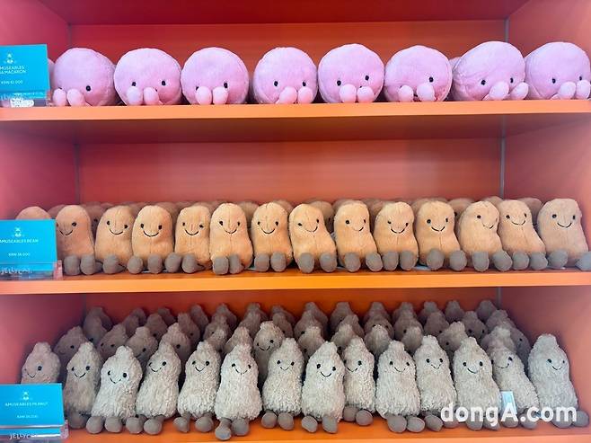 황소영 기자 fangso@donga.com