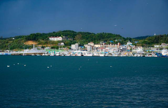 경북 울진군 죽변항 일원에 어선이 다수 정박해 있다. 울진=이한호 기자