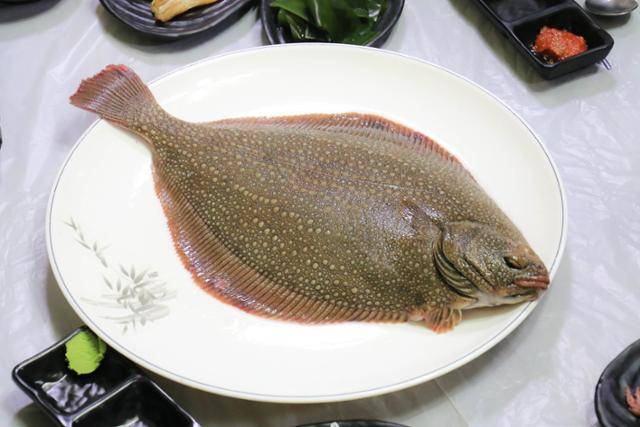 고급 어종의 대명사 줄가자미. 울진군 제공