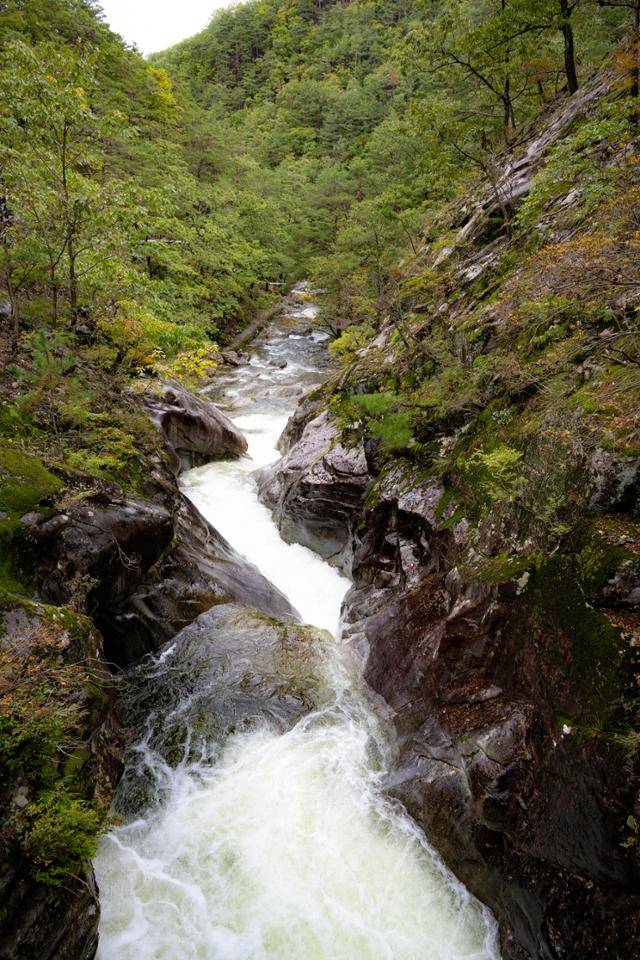 덕구계곡 용소폭포가 힘차게 흐르고 있다.