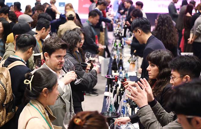2025 TOP 이탈리아 와인 로드쇼. 와인21닷컴 제공