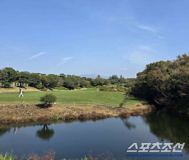 사진=김용 기자