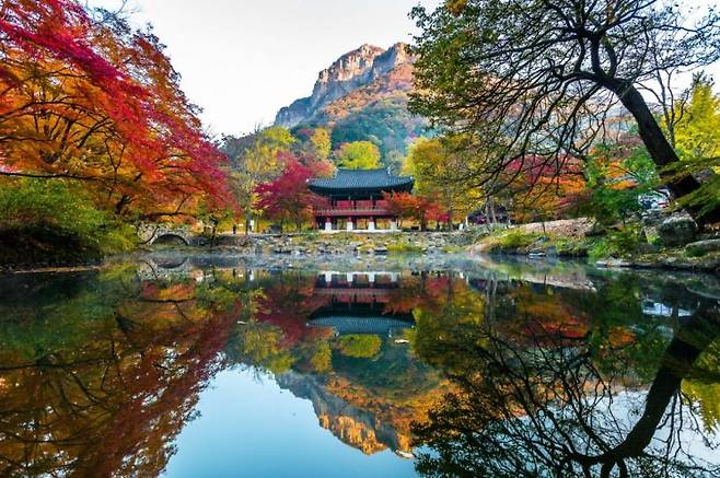 장성 백양사 쌍계루 전경. 전남도 제공