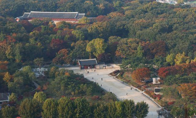 6일 서울 종로구 종묘 모습. 뉴시스