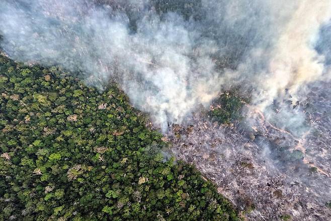 아마존의 산림 파괴 및 산불 모니터링 이미지.[그린피스 제공]