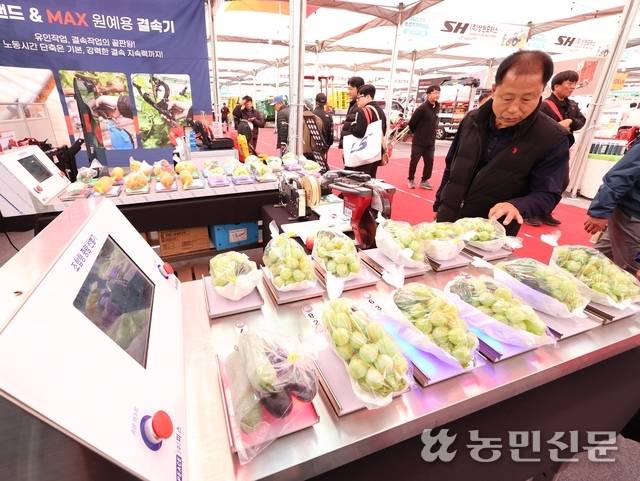 박람회장에서 한 관람객이 샤인머스캣이 올려진 과일 선별기를 들여다보고 있다. 익산=김병진 기자