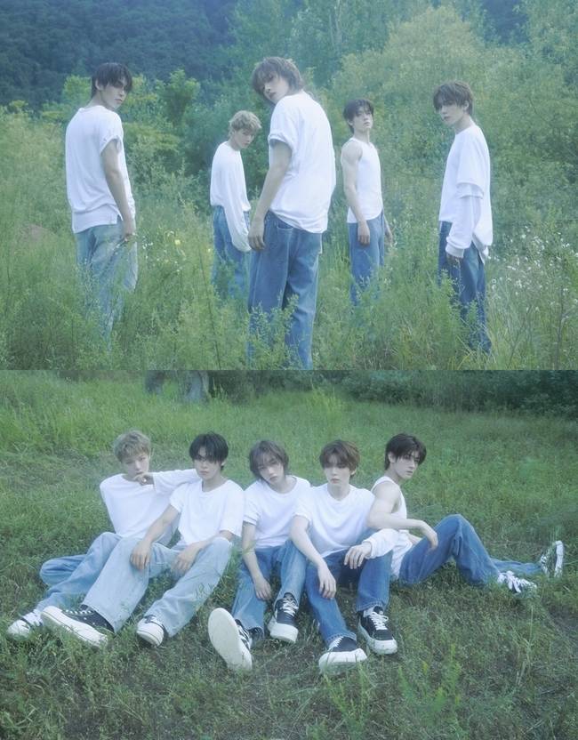 토브엔터테인먼트 제공