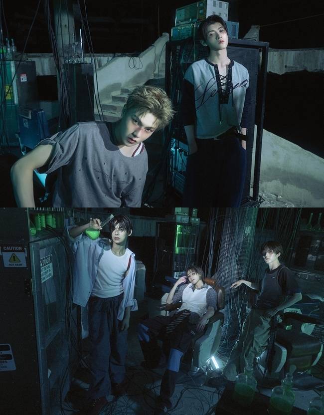 토브엔터테인먼트 제공