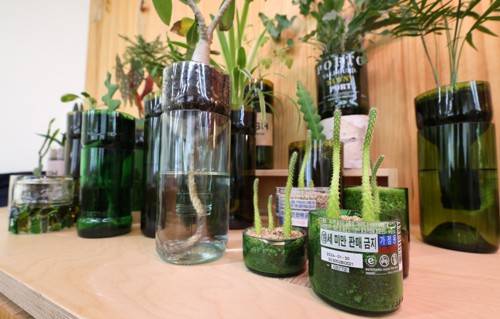  Ȱ뼾Ϳ õ 'Ȱǰ' [/ ]