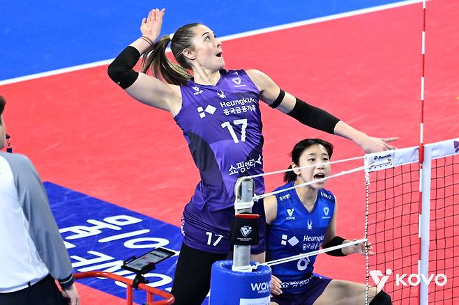 제공 | 한국배구연맹