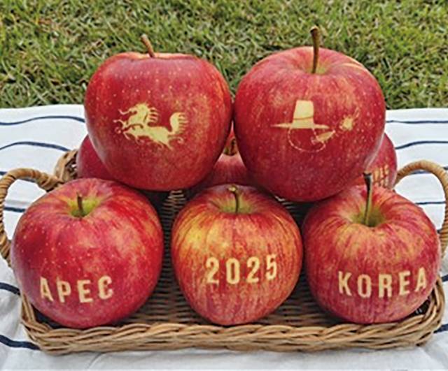 한국을 상징하는 문구·그림이 새겨진 문자사과. 경북도농업기술원