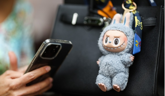 단일 IP 의존은 단기간 폭발적 성장 뒤 급격한 하락을 초래하기 쉽다. 팝마트의 IP 다변화 전략은 단기적 매출보다 장기적 브랜드 자산을 지키려는 합리적 선택이라는 분석이다. 연합뉴스