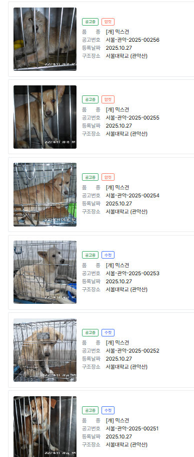 사진=포인핸드 캡처