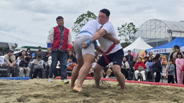 지난 8일 거제시에서 열린 ‘2025 찾아가는 전통씨름’ 행사서 성인 남자부 참가자들이 경기를 치르고 있다./대한씨름협회/