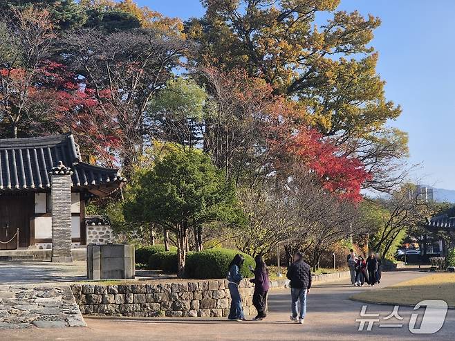 일요일인 9일 강원 강릉시 선교장을 찾은 나들이객들이 절정의 단풍을 만끽하고 있다. 2025.11.9/뉴스1 윤왕근 기자