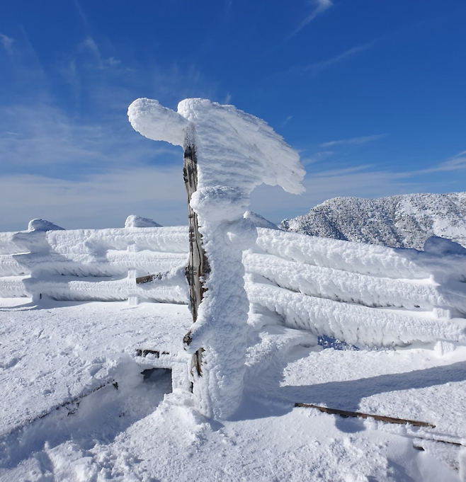 최근 철거된 것으로 확인된 '한라산동능정상' 표지목 (강영근씨 제공)