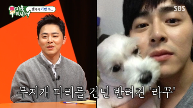 '미우새' 조정석/SBS