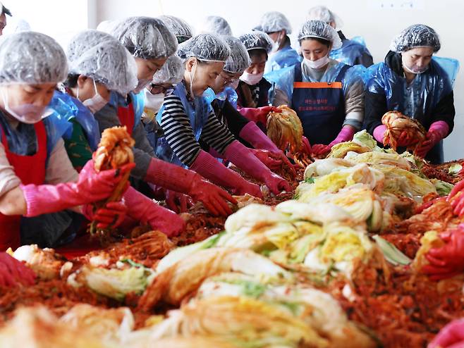 김장철을 앞두고 배추 가격이 안정세를 보이고 있다. 지난 6일 서울 송파구 마천동주민센터에서 진행된 ‘사랑의 김장나누기 행사’ 모습 [연합]