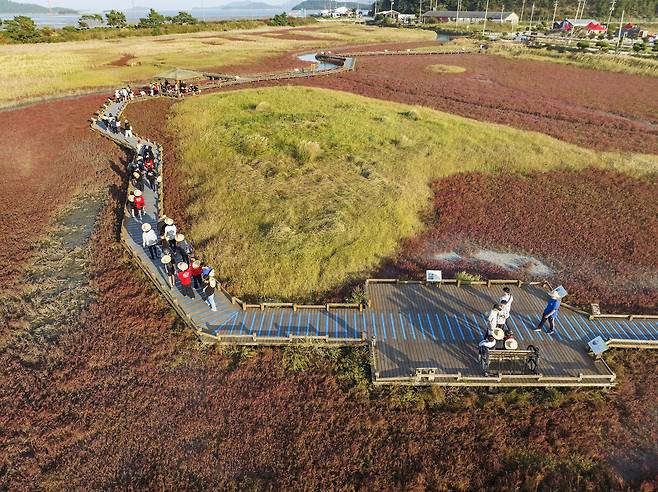 염생식물원 산책 프로그램