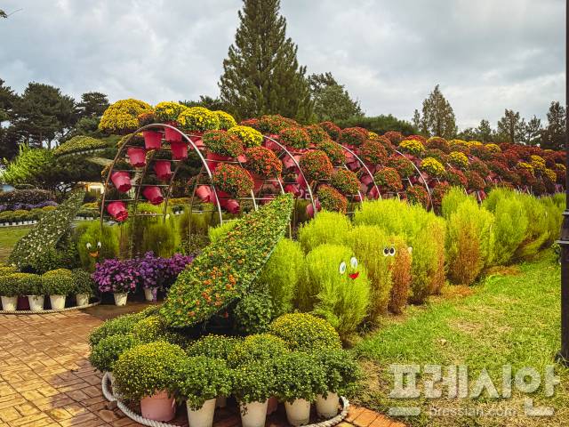 ▲ 대전 유림공원 일원에서 열린 ‘2025 유성국화축제’가 9일을 끝으로 성황리에 막을 내렸다.ⓒ프레시안(문상윤)