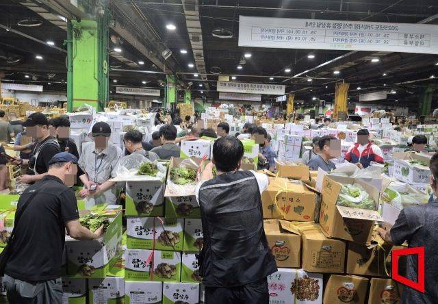 서울 송파구 가락동 농수산물종합도매시장 채소동에서 농산물 중개업자인 중도매인들이 경매 응찰기를 손에 쥐고 상추의 품질을 살펴보고 있다. 김흥순 기자