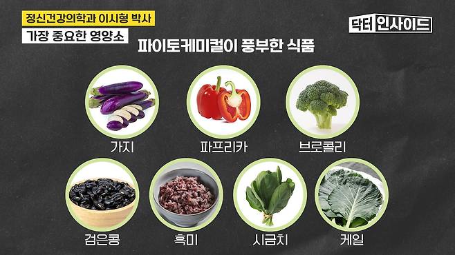 /조선일보 의학·건강 유튜브 '닥터 인사이드'