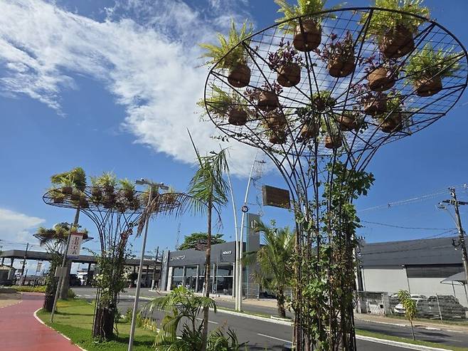 제30차 유엔 기후변화협약 당사국총회(COP30) 개최지인 브라질 벨렝이 속한 파라주 정부는 도심 식물을 늘린다며 곳곳에 ‘공중 나무’ 조형물을 세웠다. 옥기원 기자