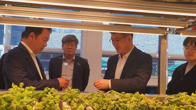 6일 서효원 농촌진흥청 차장(오른쪽 두번째)이 ‘제주대동’을 방문해 스마트팜 융복합 단지 조성 현황에 관한 설명을 듣고 있다. 농촌진흥청