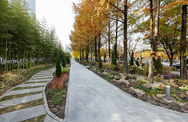 대전시청 북문 앞  일대에 조성된  '시민애뜰' 모습. 사진제공은 대전시