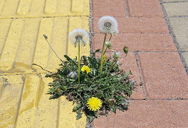 게티이미지뱅크