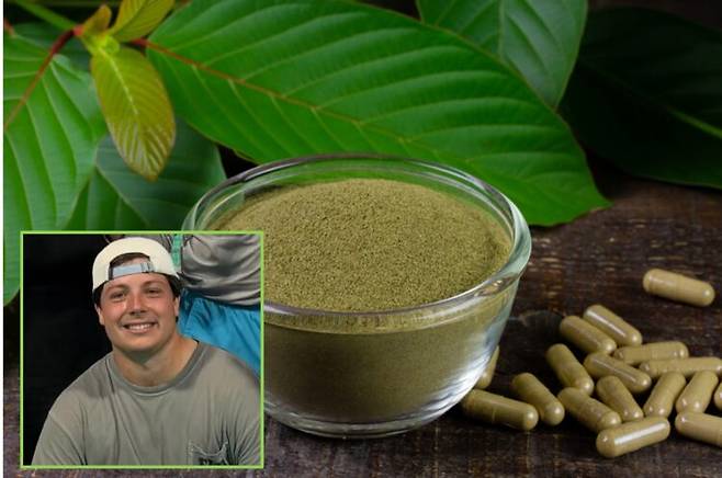 건강했던 22세 한 남자 대학생이 '자연 유래 스트레스 완화제'라 불리는 크라톰(Kratom)을 복용한 뒤 친구 집 소파에서 잠든 채로 숨진 일이 발생했다. 배경사진=게티이미지뱅크 / 좌측하단= 케이든 고스 SNS