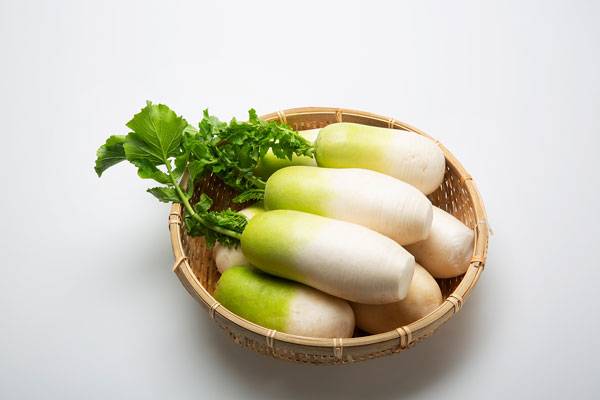 10~12월이 제철인 무는 예로부터 ‘천연 소화제’로 불리며 건강에 좋은 채소로 알려져 있다./사진=클립아트코리아