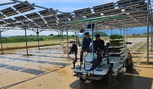 ▲ 영암군 영농형 태양광 실증재배 시설 [영암군 제공·재판매 및 DB 금지]