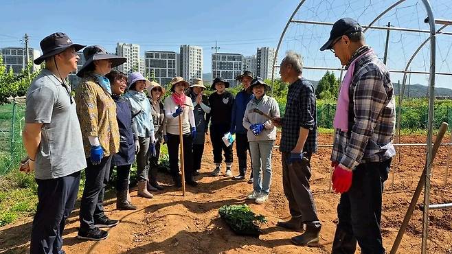 고 장채열(왼쪽 두번째) 전남동부지역사회연구소 이사장이 지난해 5월 헤이리 예술마을에서 '참 생태도시를 꿈꾸는 수세미'를 주제로 수세미 모종심기를 설명하고 있다. ⓒ시민 김준희씨 제공