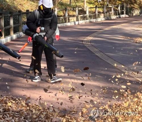 '바람에 날려버려라' (서울=연합뉴스) 서윤호 인턴기자 = 지난 10일 오전 서울 남산공원에서 송풍기를 이용해 낙엽을 청소하고 있다. 2025.11.12