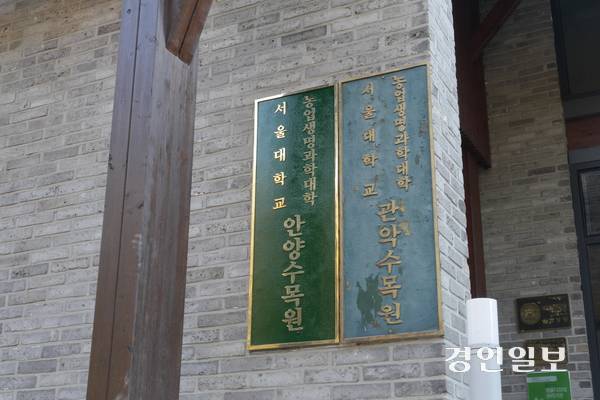 서울대 안양수목원 수생식물원은 연꽃과 꽃창포 등을 만날 수 있는 곳으로, 내년 봄·여름이면 활짝 핀 연꽃과 창포·붓꽃 등을 볼 수 있을 것으로 기대된다. 2025.11.12 안양/박상일기자 metro@kyeongin.com