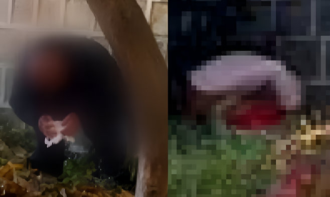 중국인 관광객이 서울 경복궁 돌담 아래에서 대변을 본 사실이 드러나 국민적 공분이 일었다. 전문가들은 반복되는 중국인 관광객의 무질서 행태에 강력한 제재와 교육이 필요하다고 지적했다. ⓒ뉴스1