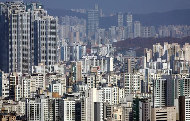 서울의 아파트 단진 모습. 뉴스1 자료사진