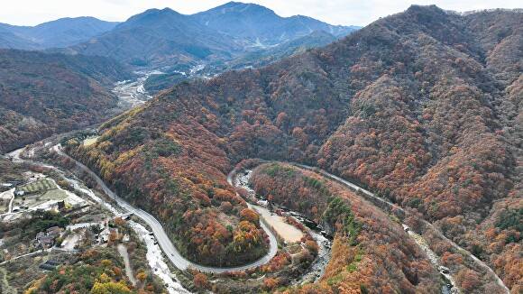 대한민국 관광도로로 선정된 무주 구천동 자연품길  [사진=무주군 ]