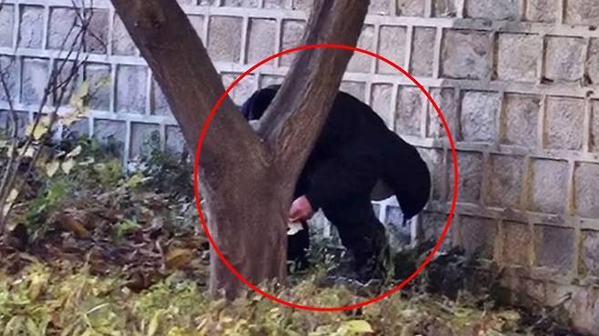 경복궁 돌담에서 용변을 보는 중국인 (사진, 서경덕 성신여대 교수팀)