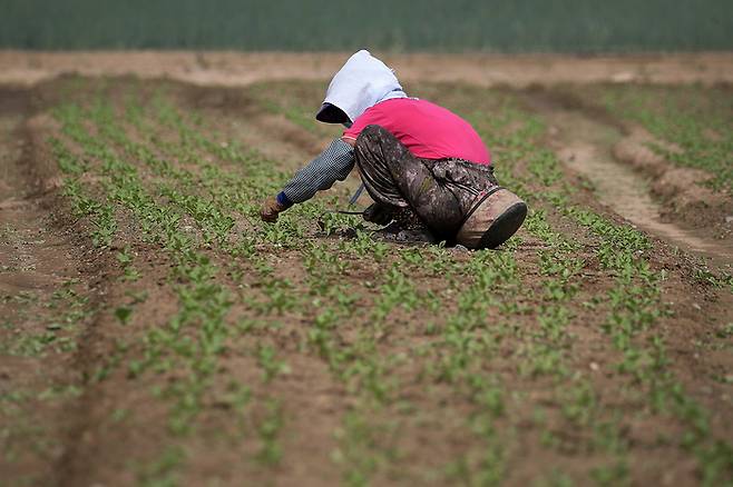 기사 이해를 돕기 위한 사진임. [뉴스1]