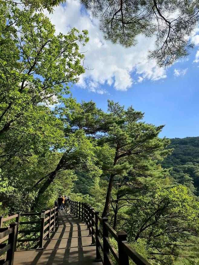 국립 제천치유의숲.