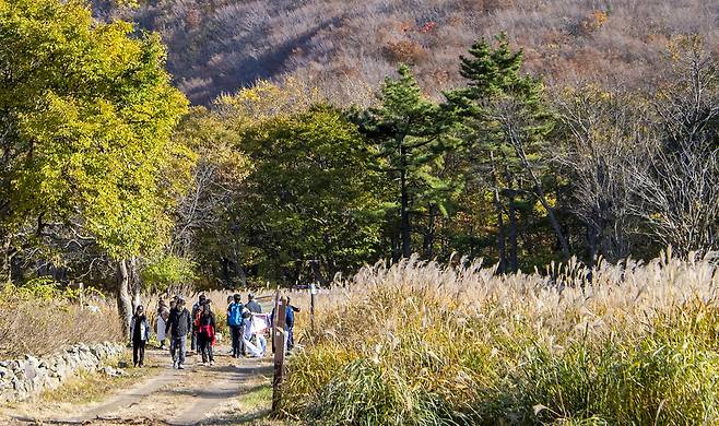 울릉군청 공무원들이 가을을 즐기며 플로킹을 하고 있다./울릉군 제공