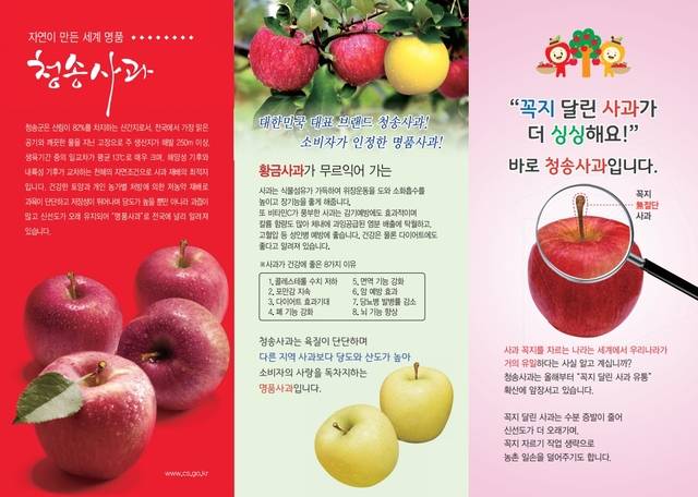 청소사과 소개