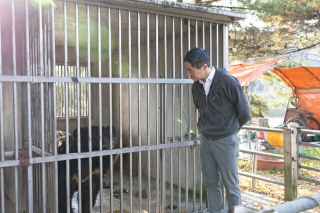 김정빈 수퍼빈 대표가 곰사 안의 사육곰을 보고 있다. (사진=수퍼빈)