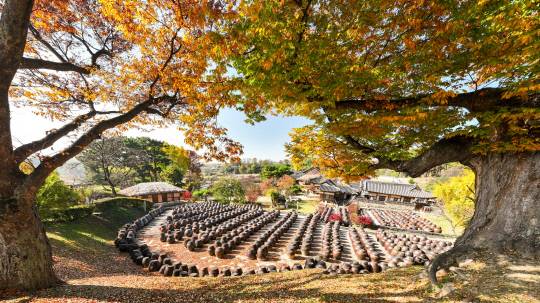 단풍이 곱게 물든 논산 명제고택 전경. 논산시 제공