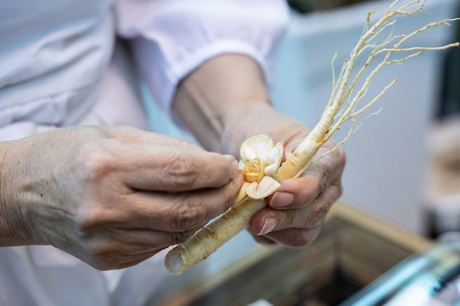 인삼 쿠킹 클래스 '인삼꽃주 만들기' 체험