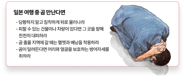 그래픽=김대훈 기자