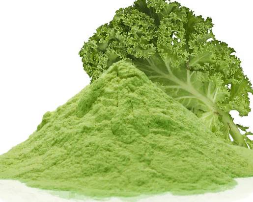 녹색 가루 중 케일 가루는 눈 건강에 특히 효과적이다. 사진은 케일 가루. [사진=Nitribeet]